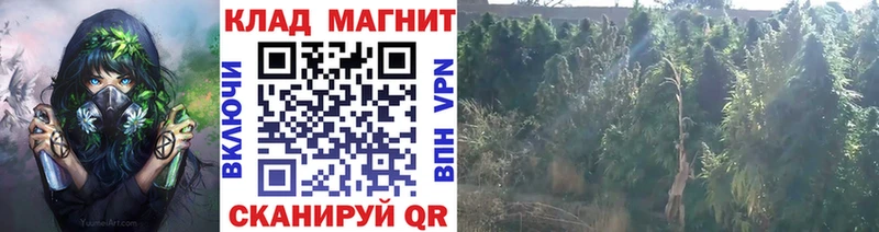 Цена Маркс Галлюциногенные грибы Меф мяу мяу ГАШИШ Марихуана