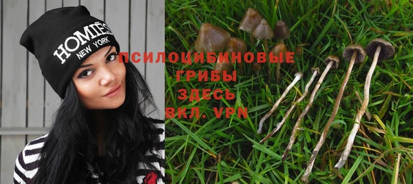 дживик Балабаново